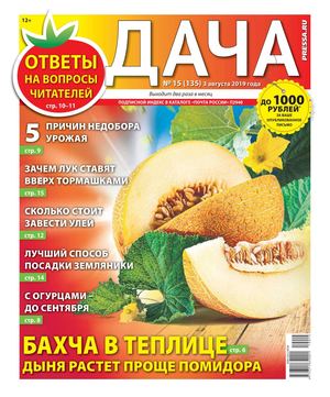 Дача №15, август 2019