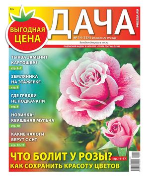 Дача №14, июль 2019