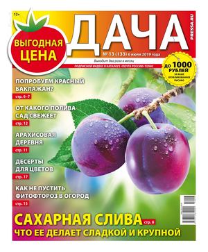 Дача №13, июль 2019