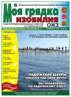 Моя грядка изобилия №9, сентябрь 2019