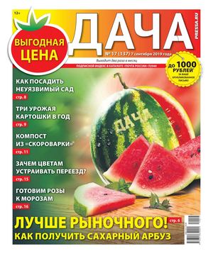 Дача №17, сентябрь 2019