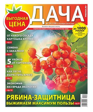 Дача №19, октябрь 2019
