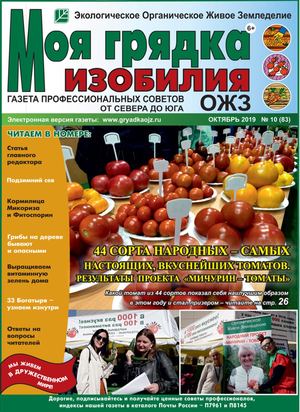 Моя грядка изобилия №10, октябрь 2019