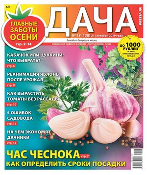 Дача №18, сентябрь 2019