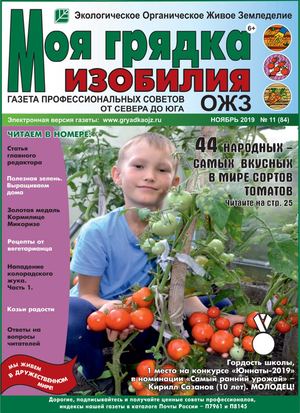 Моя грядка изобилия №11, ноябрь 2019
