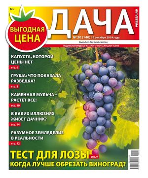 Дача №20, октябрь 2019