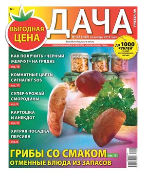 Дача №22, ноябрь 2019