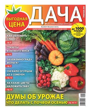 Дача №21, ноябрь 2019