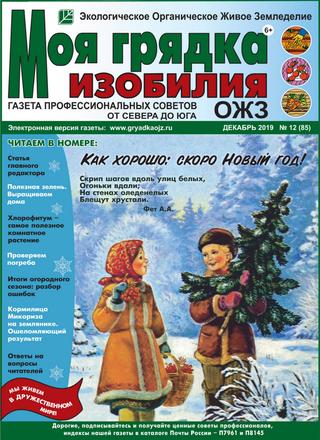 Моя грядка изобилия №12, декабрь 2019