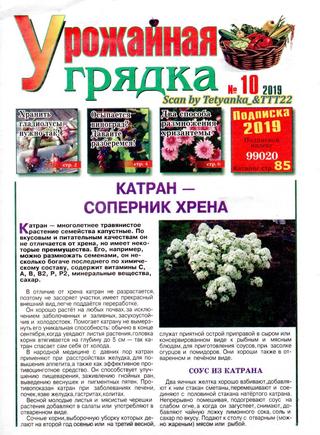 Урожайная грядка №10, октябрь 2019