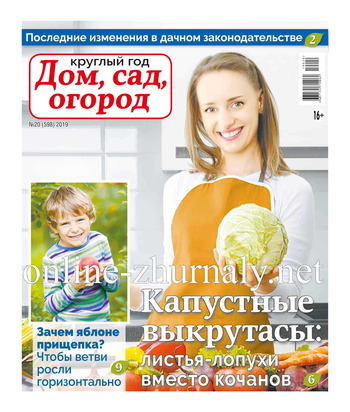 Круглый год: Дом, сад, огород №20, 2019