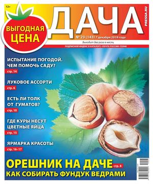 Дача №23, декабрь 2019