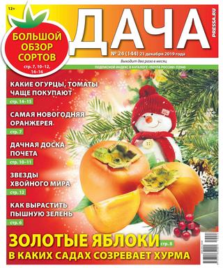 Дача №22, декабрь 2019