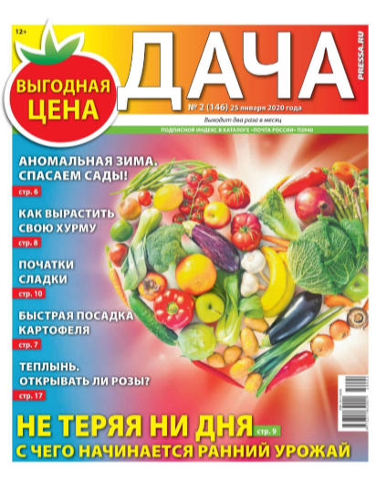 Дача №2, январь 2020