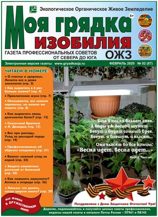 Моя грядка изобилия №2, февраль 2020