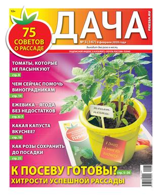 Дача №3, февраль 2020