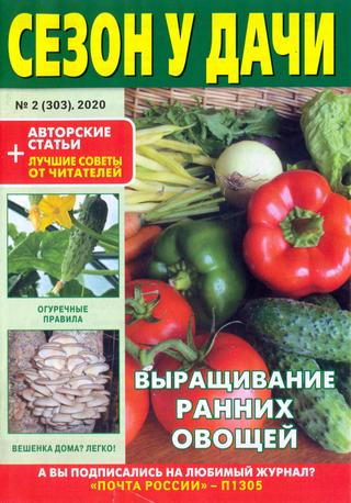 Сезон у дачи №2, январь 2020