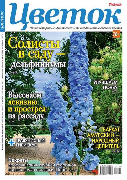Цветок №3, февраль 2020