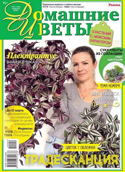 Домашние цветы №2, февраль 2020