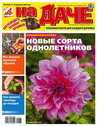 АиФ. На даче №3, февраль 2020