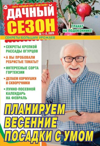 Дачный сезон №1-2, январь - февраль 2020