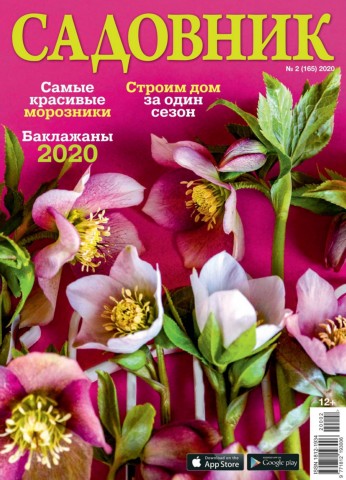 Садовник №2, февраль 2020