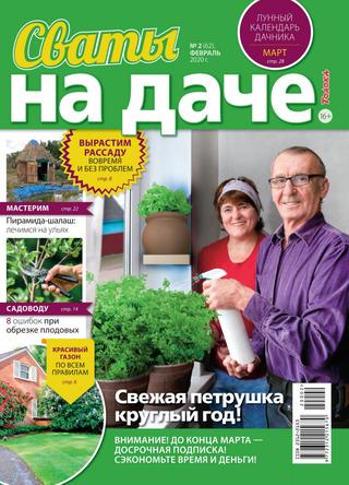 Сваты. На даче №2, февраль 2020