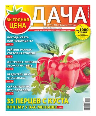 Дача №4, февраль 2020