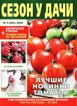 Сезон у дачи №3, февраль 2020