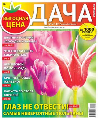 Дача №5, март 2020