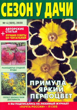 Сезон у дачи №4, февраль 2020