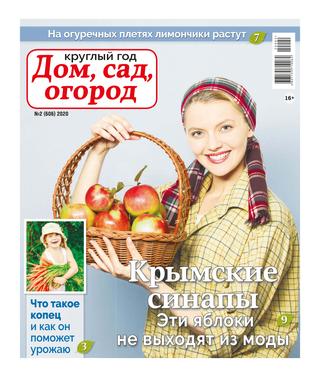 Круглый год: Дом, сад, огород №2, 2020