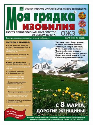 Моя грядка изобилия №3, март 2020