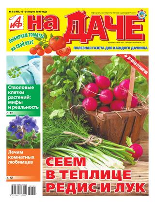 АиФ. На даче №5, март 2020