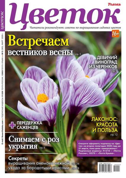 Цветок №5, март 2020