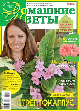 Домашние цветы №3, март 2020