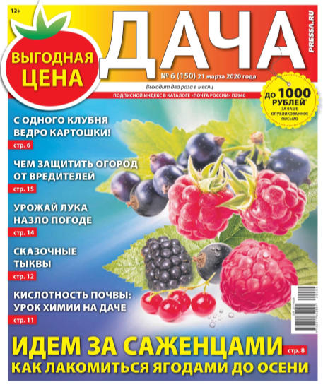 Дача №6, март 2020