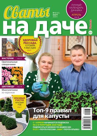 Сваты. На даче №3, март 2020