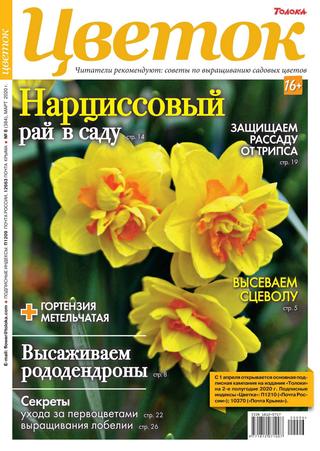 Цветок №6, март 2020