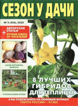 Сезон у дачи №5, март 2020