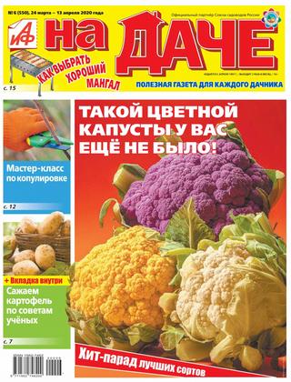 АиФ. На даче №6, март - апрель 2020