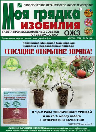 Моя грядка изобилия №4, апрель 2020