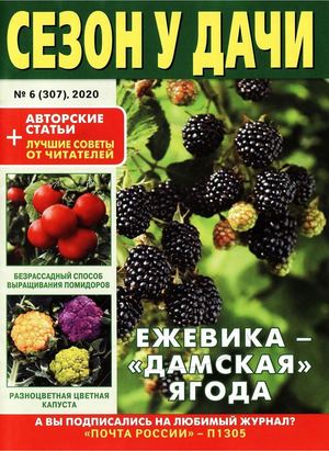 Сезон у дачи №6, март 2020