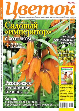 Цветок №7, апрель 2020