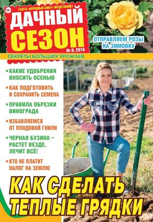 Дачный сезон №9, сентябрь 2019