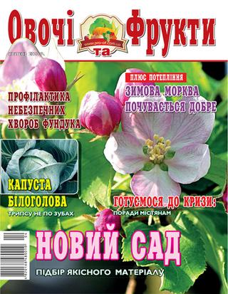 Овощи и фрукты. Украина №4, 2020