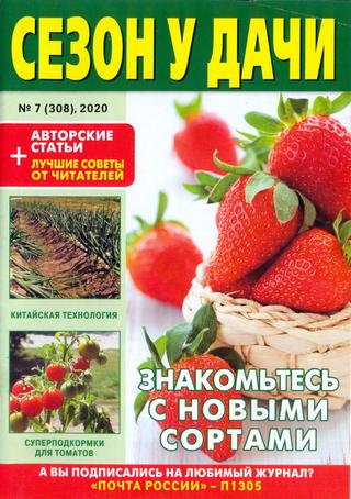 Сезон у дачи №7, апрель 2020