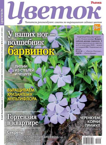 Цветок №9, май 2020