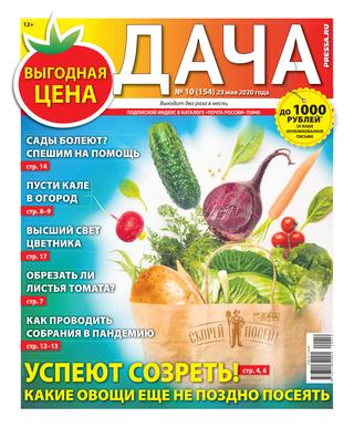 Дача №10, май 2020