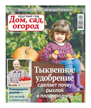 Круглый год: Дом, сад, огород №11, 2020